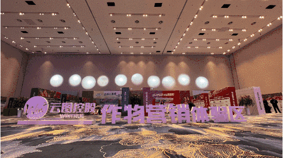 f05.gif